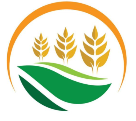 شعار بركة الخير الزراعية — سنابل قمح وحقول خضراء